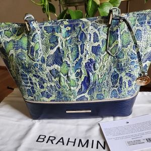 Brahmin Green Viper Mackay